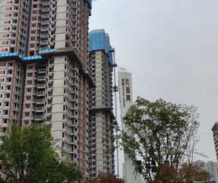 样板图