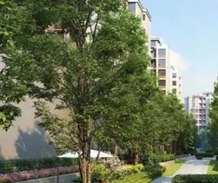 实景图