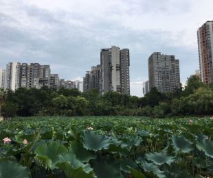 配套图